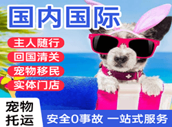 鄂托克旗乌兰航空快递国际宠物托运 【国